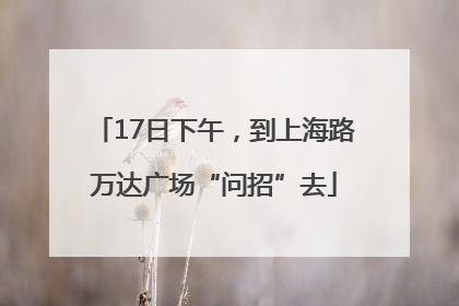 17日下午，到上海路万达广场“问招”去